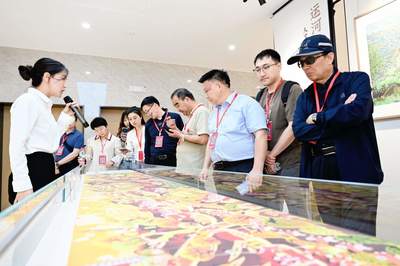 城乡融合看嘉兴 | 秀洲区油车港镇胜丰村 农民画+非遗，文艺为乡村赋能的真实画卷